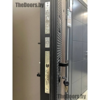 КОНТИНЕНТ 56