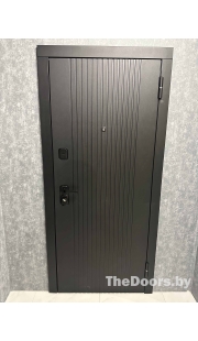 Дверь Металюкс Стандарт М624