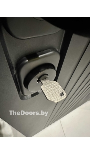 Дверь Металюкс Стандарт М624