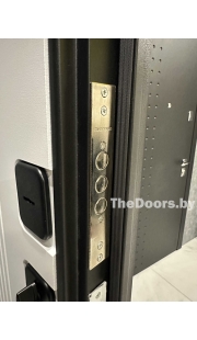 Дверь Металюкс Стандарт М624