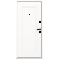 Входная дверь в дом Boston AG6026