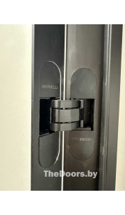 Скрытая дверь Invisible