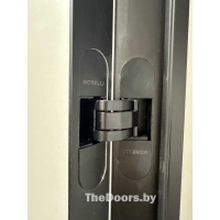 Скрытая дверь Invisible