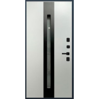 Входные наружные двери в дом Эверест 