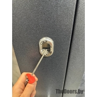 СНЕГИРЬ PRO С MP 1