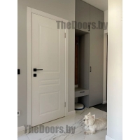 Межкомнатные двери в эмали ПГ 01 цвет по RAL