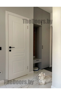 Межкомнатные двери в эмали ПГ 01 цвет по RAL