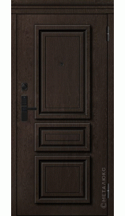Дверь входная металлическая SMART BASIC М-S 669