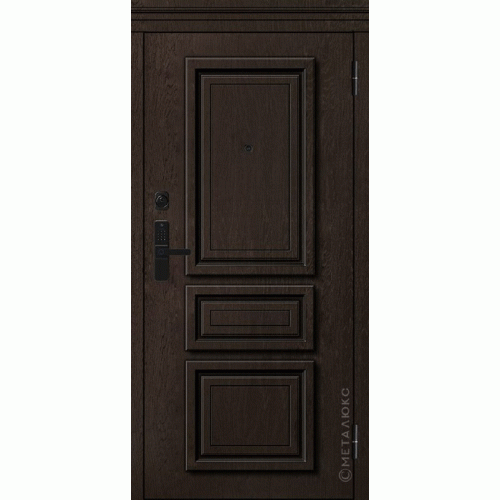 Входные двери МетаЛюкс BASIC М-S 669 