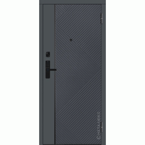 Входные двери МетаЛюкс BASIC М-S 738/3 Е5