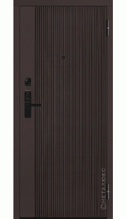 Дверь входная SMART BASIC М-S 748/2 Е5