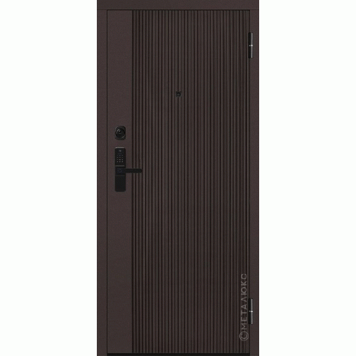 Входные двери МетаЛюкс BASIC М-S 748/2 Е5
