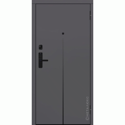Входные двери МетаЛюкс BASIC М-S 774/1 E2
