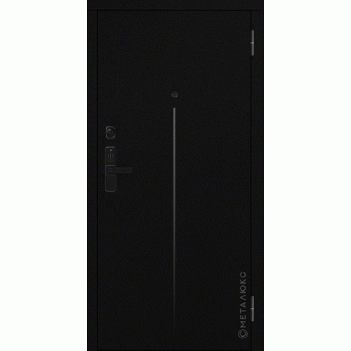 Входные двери МетаЛюкс BASIC М-S 774/2 E2