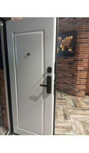 Двери Металюкс SMART BASIC M-S 668