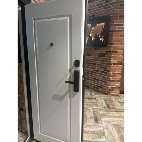 Входные двери "МетаЛюкс" SMART BASIC M-S 668/1 E5