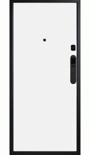 Входная дверь SMART PRO M-SP 651/1