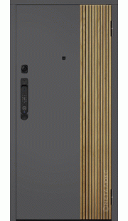 Металлическая дверь SMART PRO M-SP 649/1
