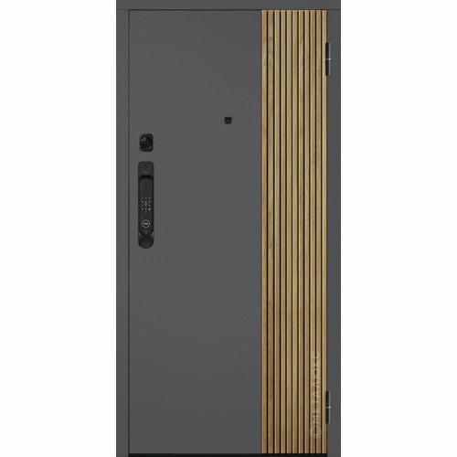 Входные двери МетаЛюкс SMART PRO M-SP 649/1