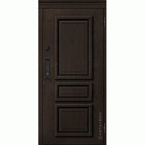 Входные двери МетаЛюкс SMART PRO M-SP 669