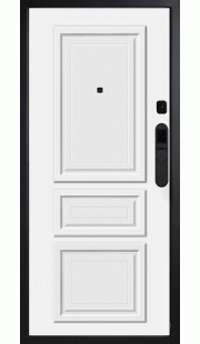 Металлическая дверь SMART PRO M-SP 669