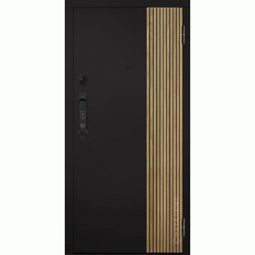 Входные двери МетаЛюкс SMART PRO M-SP 649/2