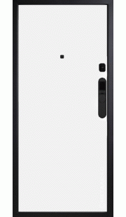 Металлическая дверь SMART PRO M-SP 651 Z
