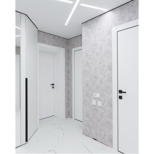 Дверь в эмали ЗеДорс Si 1