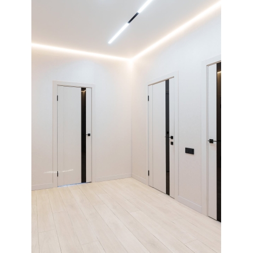 Двери Dinmar L8 ПО (9 цветов)